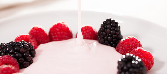 fresh raspberries and blackberries laid out on a white plate in circle with yogurt