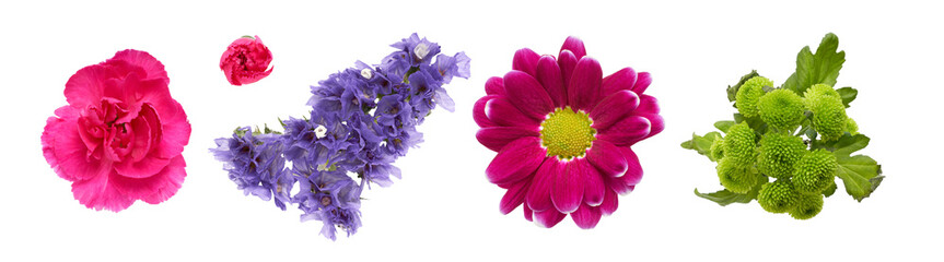 A collection of colourful spring flower heads isolated against a white background
