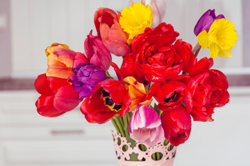 Red and yellow tulips  bouquet  close up 
