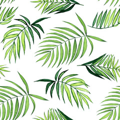 Fototapeta na wymiar Watercolor palm leaf seamless pattern on white background. Hand drawing kentia or parlor plant illustration. Perfect for home design, print, card.