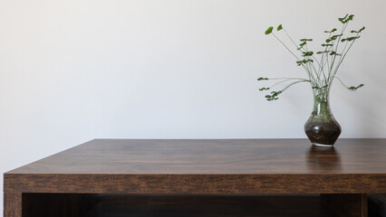 Marsilea plant also called four-leaf clover planted in wine jar adorns the wooden table with white background. St Patrick's day with Marsilea at home.