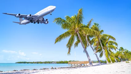 Fototapeten modern airliner arrives above palm rees © frank peters