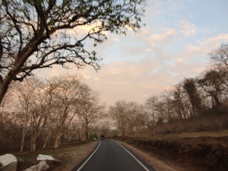 the road in the winter