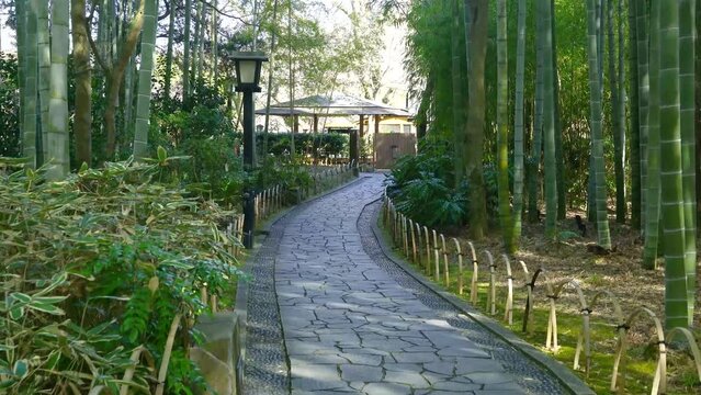 修善寺竹林の小径