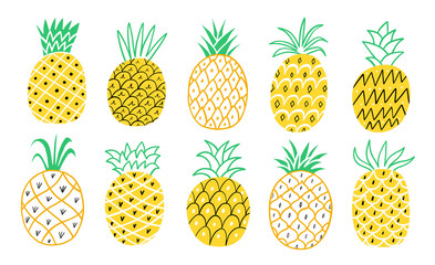 Pineapple vector hand drawn cute set isolated - 489865560