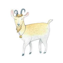 Funny Goat Character