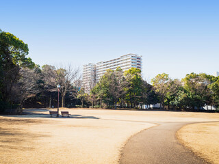 Obraz premium 冬晴れの公園 多摩ニュータウン