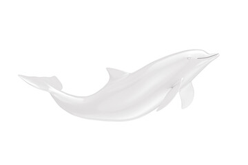 White Tursiops Truncatus Ocean or Sea Bottlenose Dolphin in Clay Style. 3d Rendering