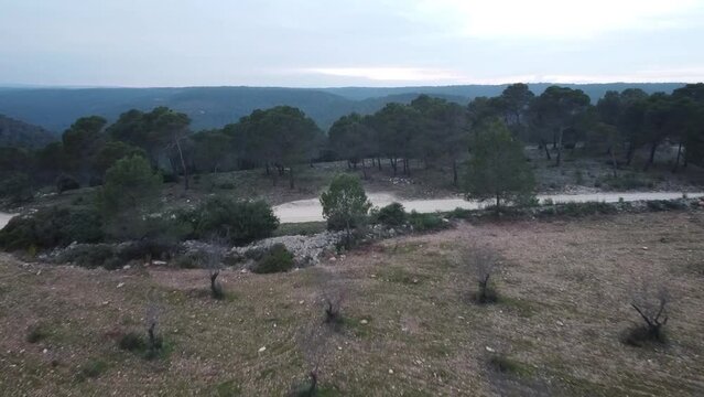 Aerial views forest in Spain