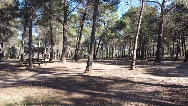 Aerial views forest in Spain