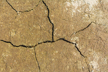 Texture pattern of cracks in dried soil or earth Norway.