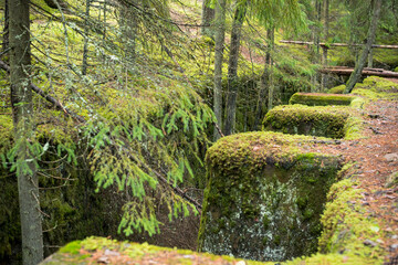the teeth of the wall of the old fortification - a mossy fort in the forest, an ancient fortress