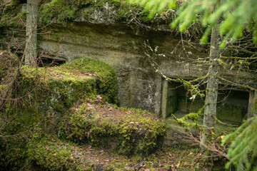niches for ammunition in the wall of an ancient fort in the forest