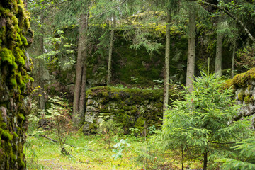 a huge stone wall green mossy - the remains of an ancient fortress 