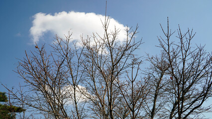 The scenery with the clouds of Bukhansan Mountain.
