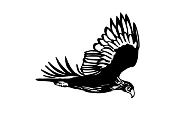 Vector eagle flying ,graphical element of bird on white background