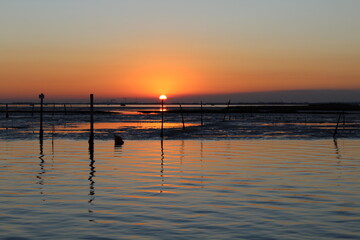 Fototapeta na wymiar spectacular sunset in the Venice lagoon
