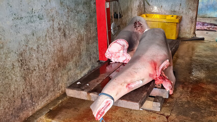 fish-market seafood sold in the market shark