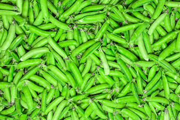 fresh green peas on isolated white background close up, front and back background blurred with bokeh effect
