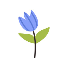 Purple flower with green leaves. Tulip. Cute garden flower isolated on a white background. Cartoon vector illustration.