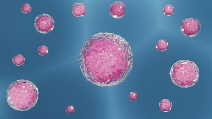 The components of a living cell, the nucleus in the plasma membrane.