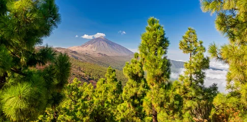 Fotobehang Canarische Eilanden Vulkaan Teide - uitzicht vanaf Mirador La Crucita (Tenerife, Canarische Eilanden)