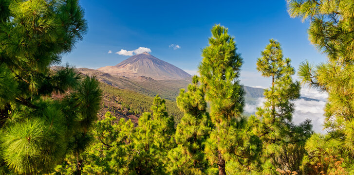 Volcano Teide  - view from Mirador La Crucita (Tenerife, Canary Islands) 