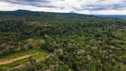 Fototapeta na wymiar aerial drone landscape view of forest