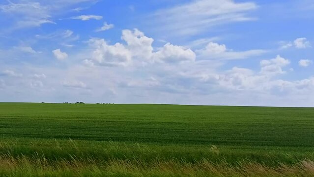 View through side window of a car auto in motion along the green field under a blue sky in summer. Tourism and travel, journey trip themed fotage. Beautiful nature and landscape.