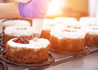Pastry chef girl makes a cake from fresh biscuit berries and cream. Mass production of cakes and sweets, confectionery, cream cake decorating, industry