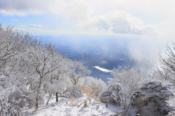 山頂の風景