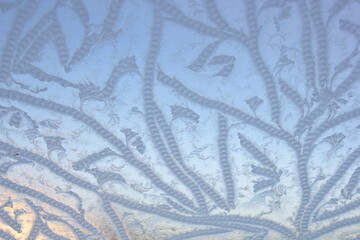 the icing on the windowpane, icy flowers, beautiful icy shapes