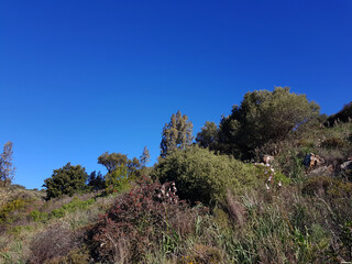 Obraz premium Paesaggio