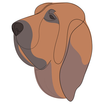 recommend clip art: Continuous line Bloodhound. Single line minimal style Labrador dog vector illustration. Portrait