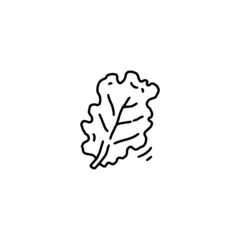 Lettuce salad leaf single icon, hand drawn doodle vector illustration isolated.