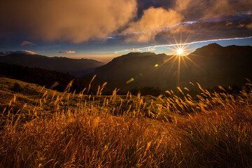 Beautiful autumn scenery in Taiwan, The fallen leaves beautiful color picture, Asia - Beautiful landscape of highest mountains blue sky in fall seaon at Taroko National Park, Taiwan