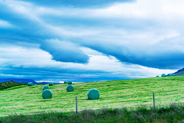 Bale of hay wrapped in green plastic on the green pasture in Iceland. View of pasture with bale of...