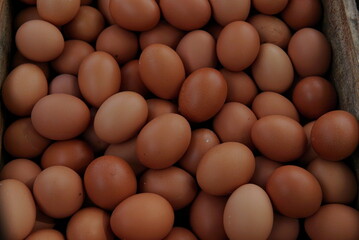 hundreds of piles of chicken eggs ready for sale.