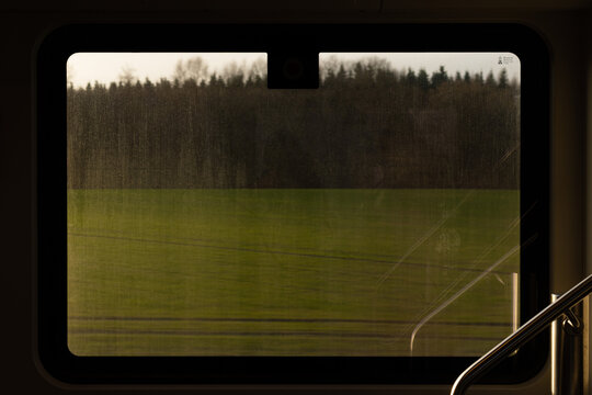 Green landscape with trees as seen from a train window