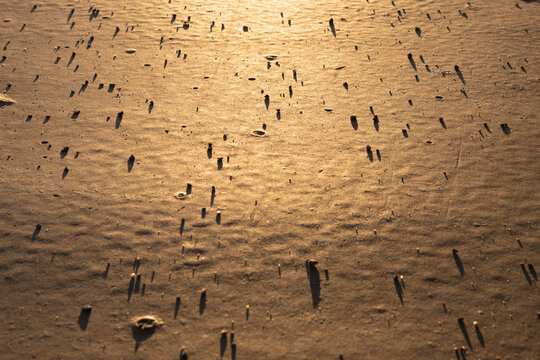 Floor with pebbles with golden light and marked shadows