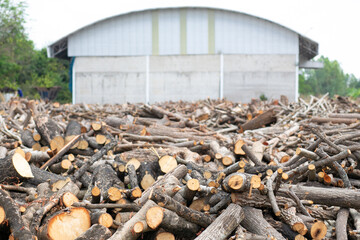 A pile of stacked firewood, prepared for heating the house. Firewood harvested for heating in winter.