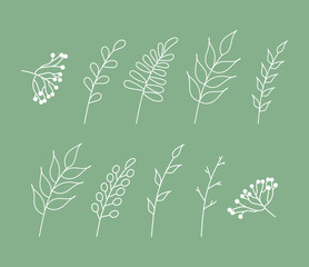 Fototapeta na wymiar Set of elements of twigs with leaves. Line art. Drawn by hand in the style of doodles. Plant sprigs with foliages and berries white outline on green background for design templa. Vector illustration.