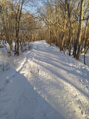 path in winter