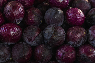 Fototapeta na wymiar Fresh purple cabbage tubers, soft selective focus. Background with cabbage