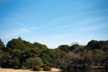 일본 도쿄 신주쿠교엔 공원