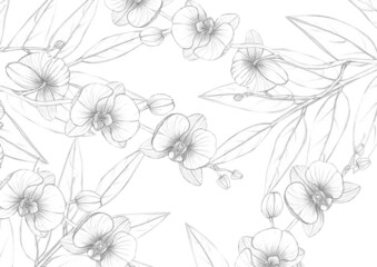 Fototapeta premium pattern, orchid sketch