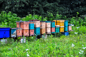 Fototapete bei efototapeten.de bestellen   