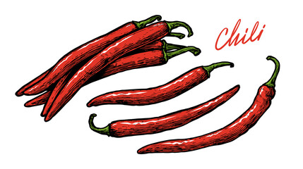 Spicy Chili set. Red pepper vector illustration