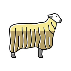 13 teeswater sheep color icon vector illustration