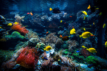 Naklejka na ściany i meble Colorful Tropical Reef Landscape. Life in the ocean